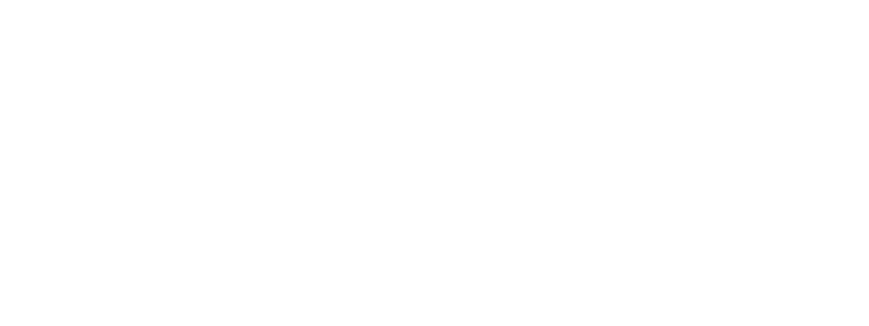 singlewire